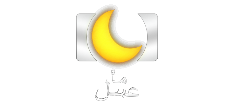 نمایندگان مجلس,ماه عسل را ببینند!