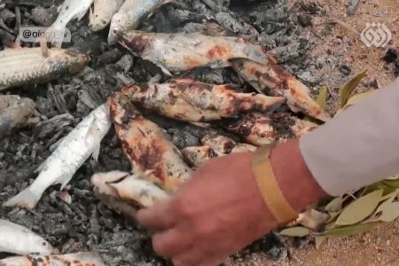 مستند خورگشت غذاهای محلی جزیره قشم