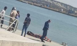 جان‌هایی که در سواحل قشم و کیش از دست می‌روند
