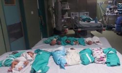 ناکامی اسرائیل در ارائه شواهد استفاده نظامی حماس  از بیمارستان الشفاء