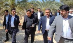 صدور سند تک برگ برای اسناد رفسنجان در قشم